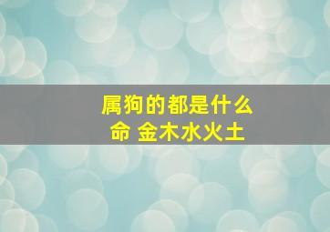 属狗的都是什么命 金木水火土